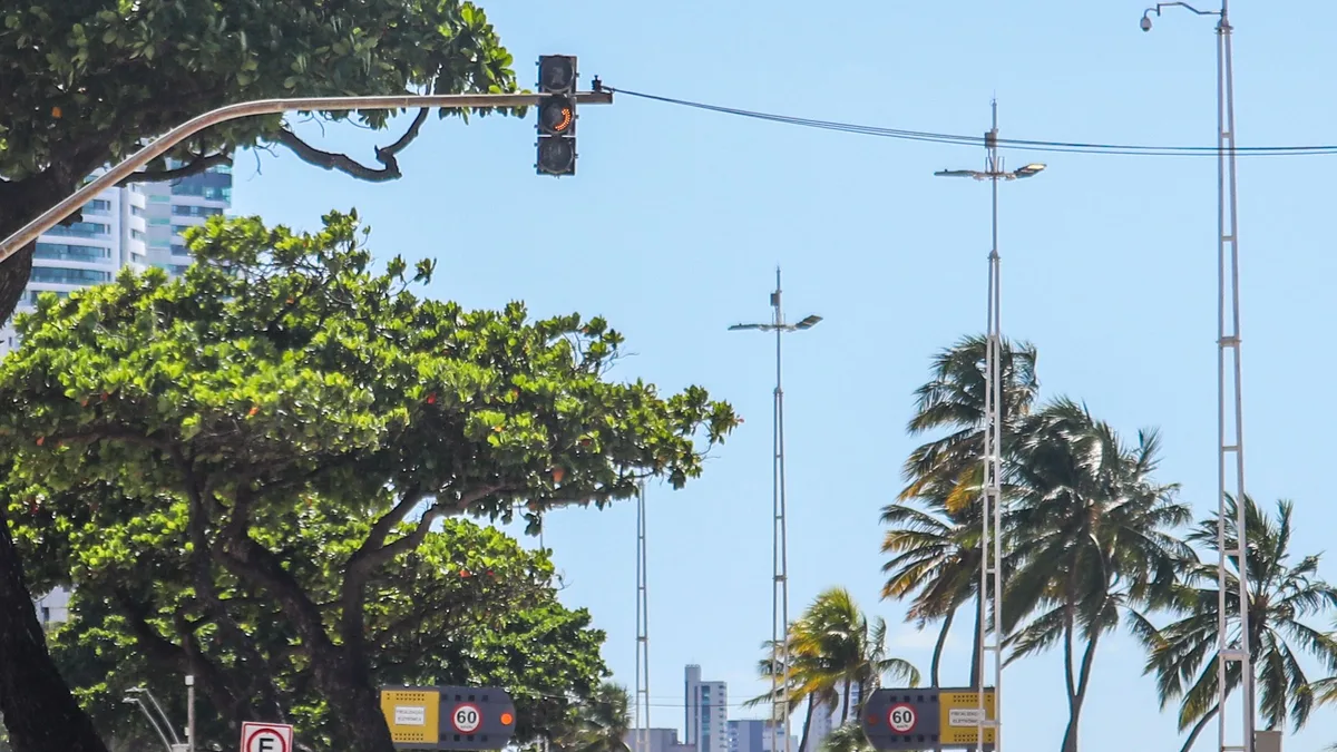 Veículos em circulação em via urbana