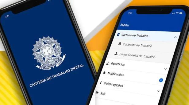 carteira de trabalho digital web